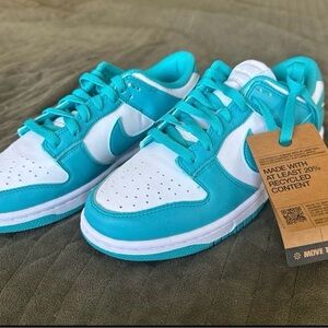 Brand New Nike Low Dunk